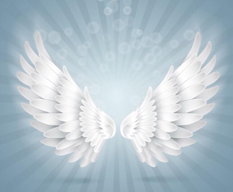 MEDITAZIONE MILANO MICHELE FRANCESCO IZZO