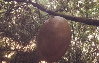 Meditazione Napoli Bosco di Cuma Michele Francesco Izzo