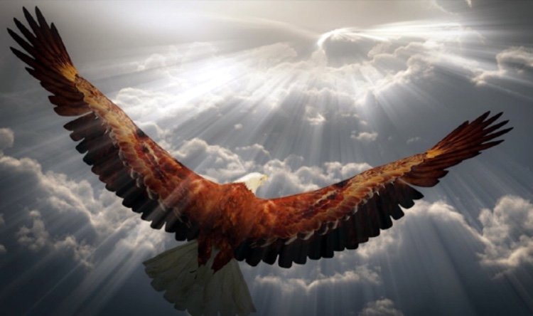 MEDITAZIONE EQUINOZIO DI PRIMAVERA ROZZANO MICHELE FRANCESCO IZZO