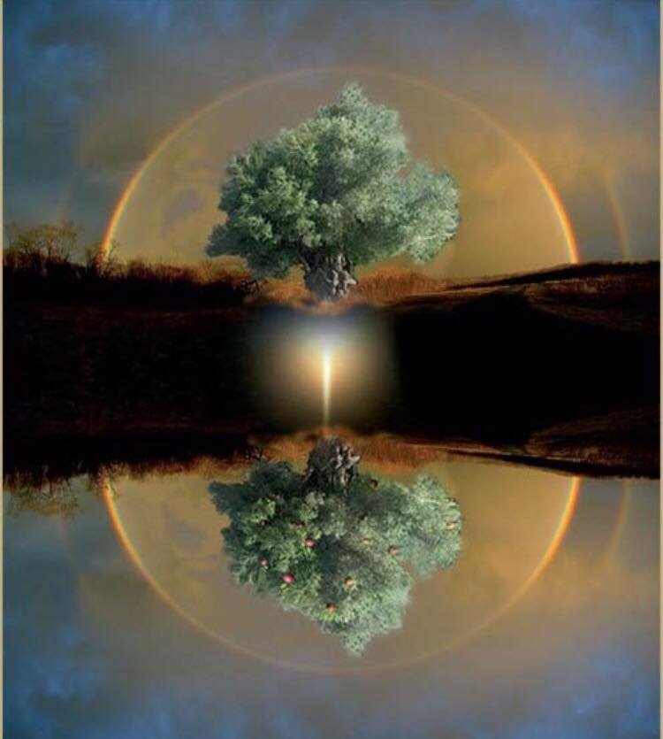 MEDITAZIONE ROZZANO DELLA RINASCITA MICHELE FRANCESCO IZZO