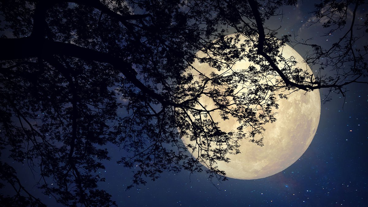 meditazione saronno i nuovo ciclo lunare michele francesco izzo