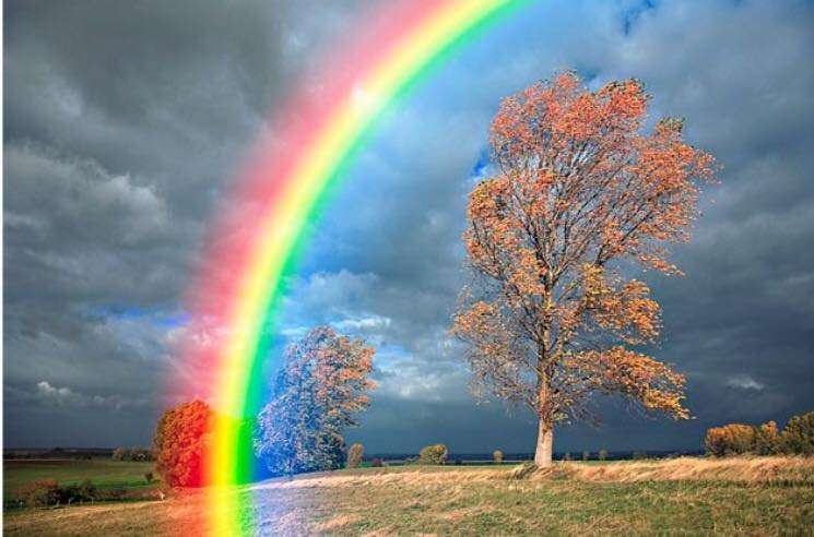 Meditazione milano sentieri del vento