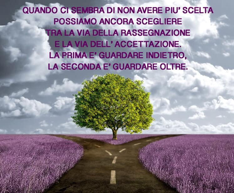 meditazione milano sentieri del vento michele francesco izzo