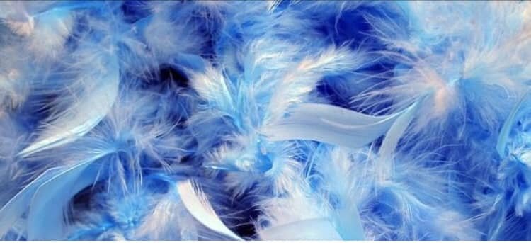 meditazione saronno Michele Francesco Izzo