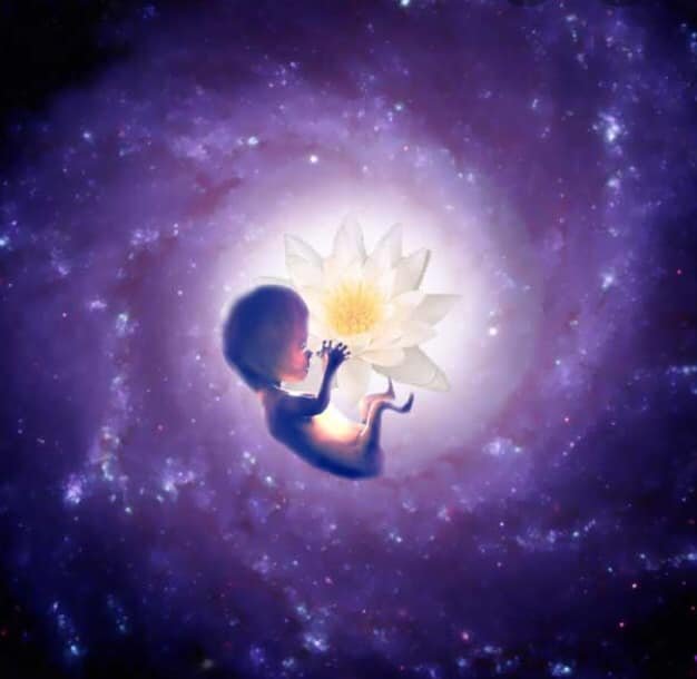 Costellazione armonica biella michele francesco izzo