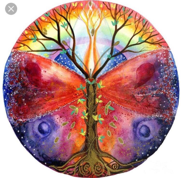 Costellazione armonica saronno michele francesco izzo