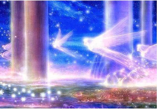 meditazione a saronno michele francesco izzo