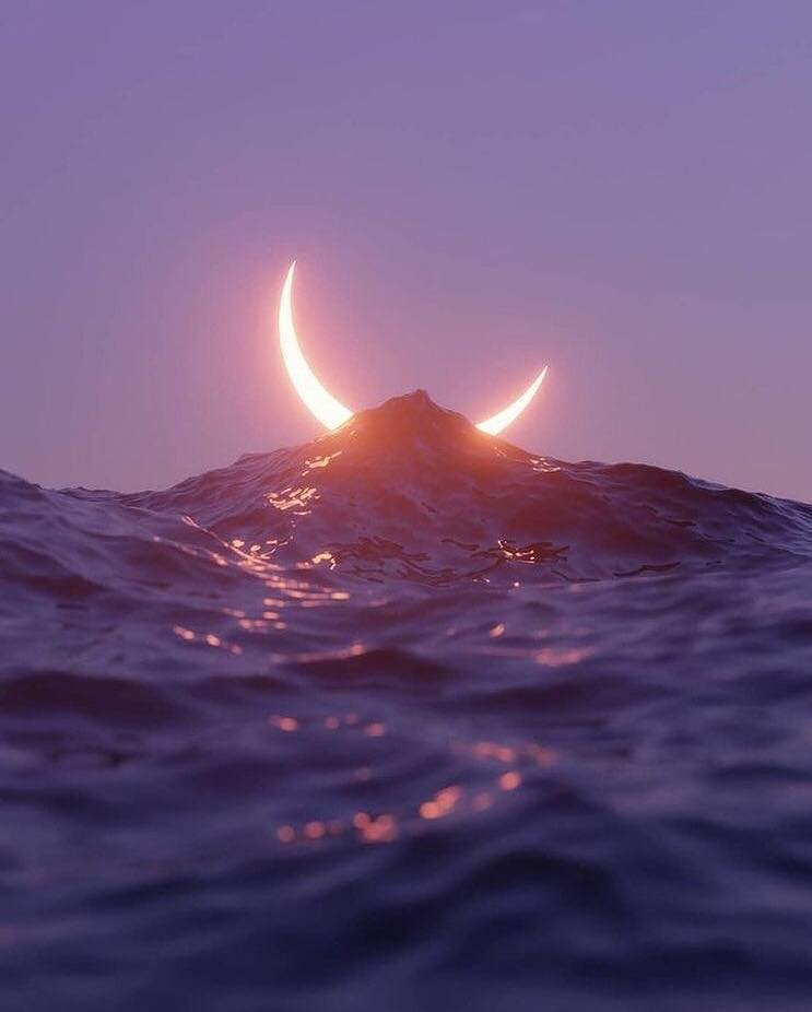 meditazione michele fransceco izzo