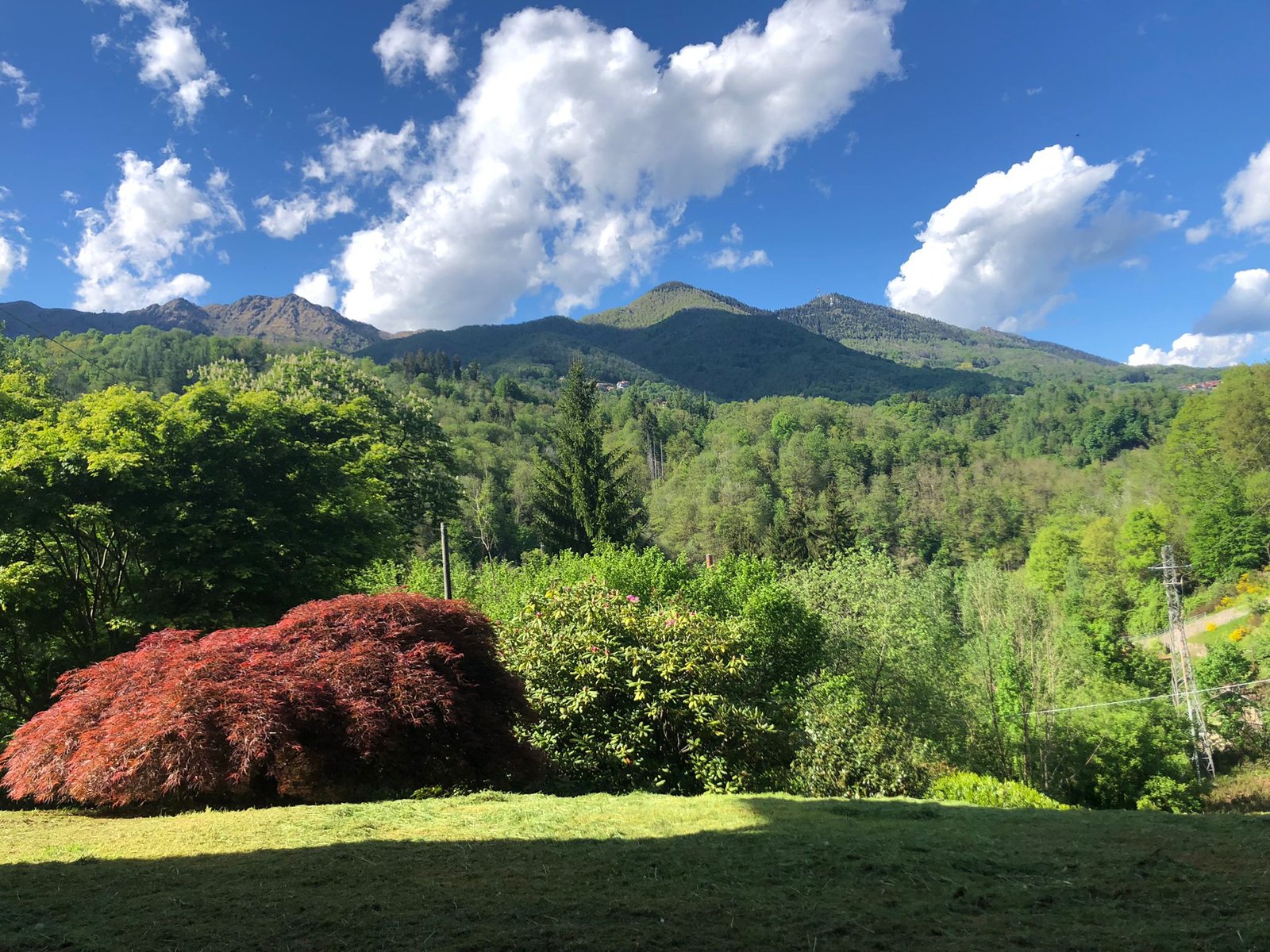 Seminaria in piemomte all'aperto michelefrancesco Izzo